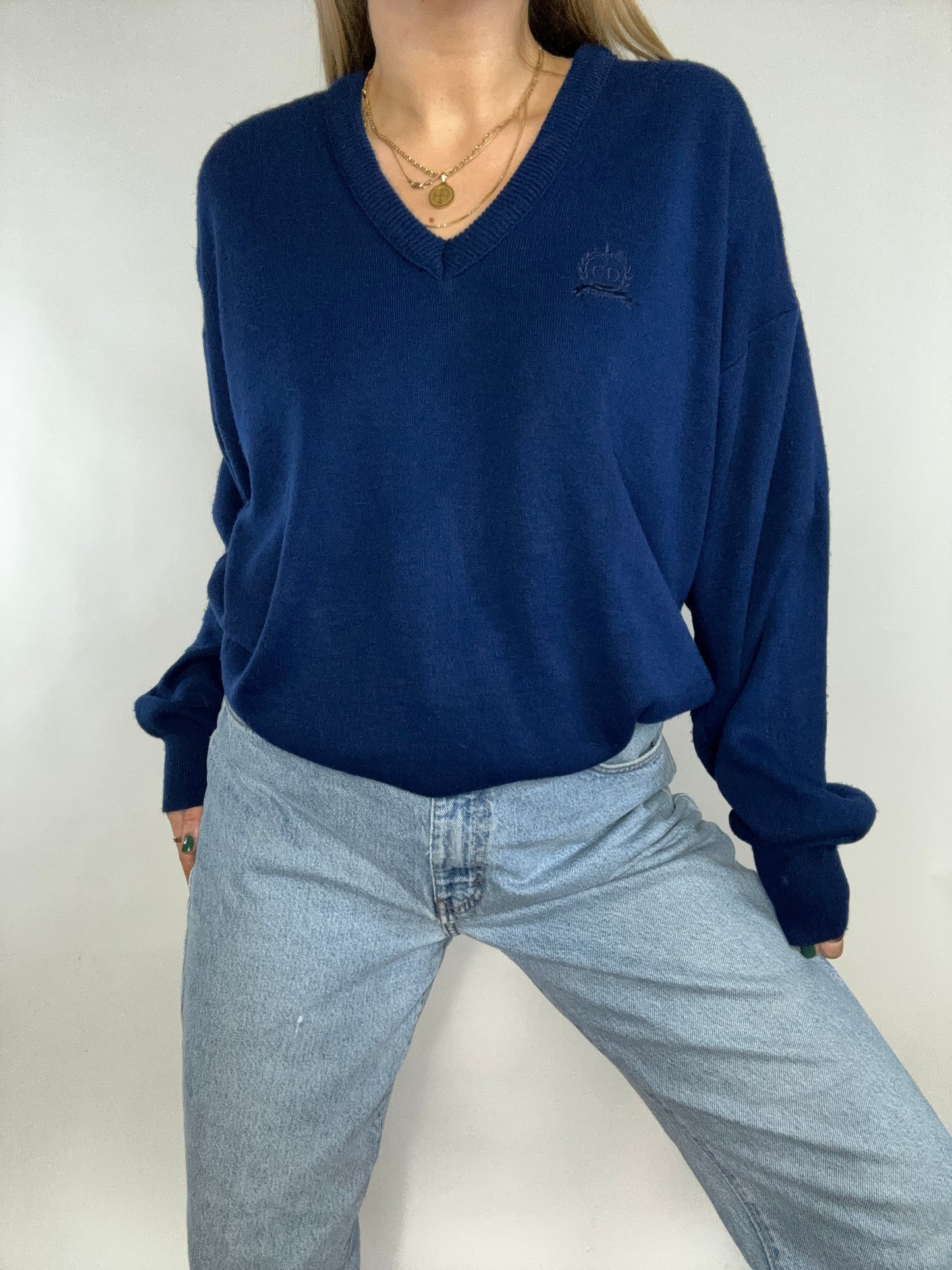 Christian Dior Logo Blue V Neck Sweater Size M